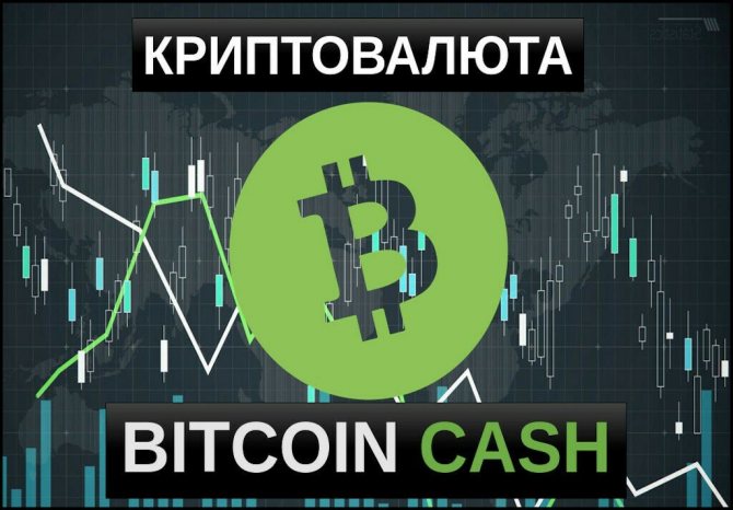 Криптовалюта Bitcoin Cash