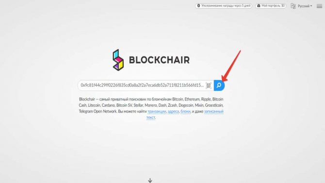 Поиск транзакции в Blockchair